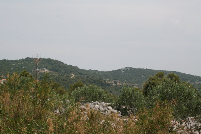 gal/cro 08/small-IMG_4637.JPG